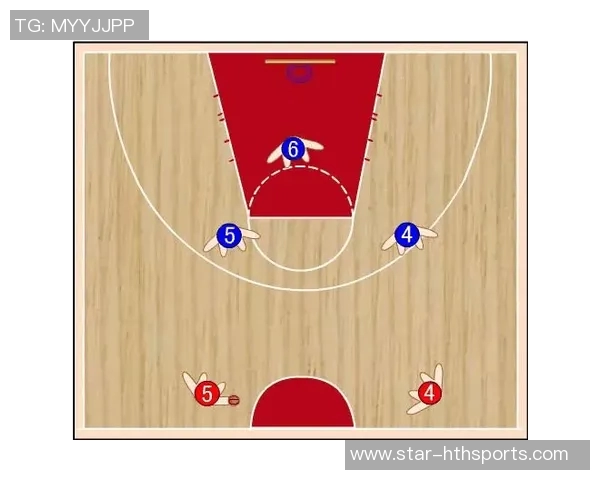 运动最新数据南京篮球队的转换之道深度剖析与战术演变探讨